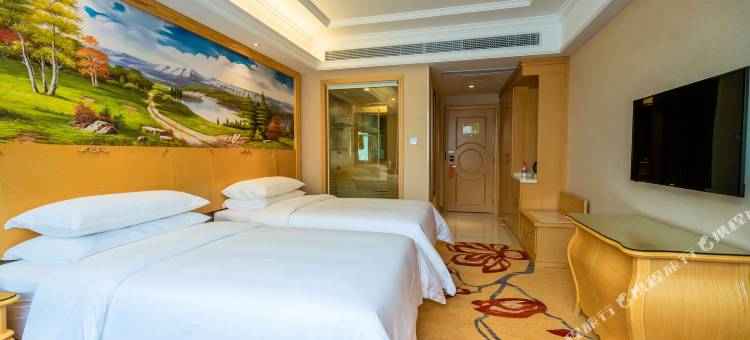 维也纳酒店(宜都解放大厦店)图片