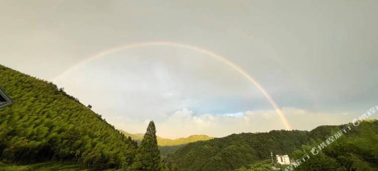 安吉九亩田农家乐林中居图片
