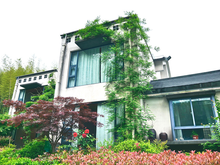 Jinzhai Dawan HomestayOver view