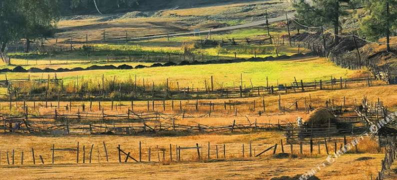 白哈巴陆玖庭院图片