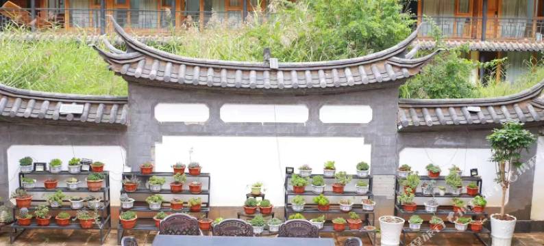 泸沽湖泸沽林卡大酒店图片