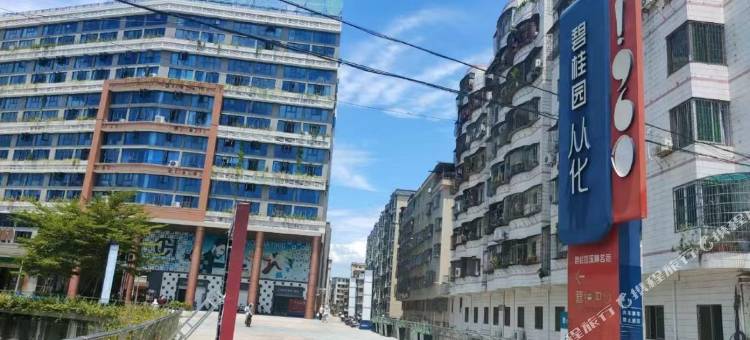 晴川公寓(从化碧桂园1960店)图片
