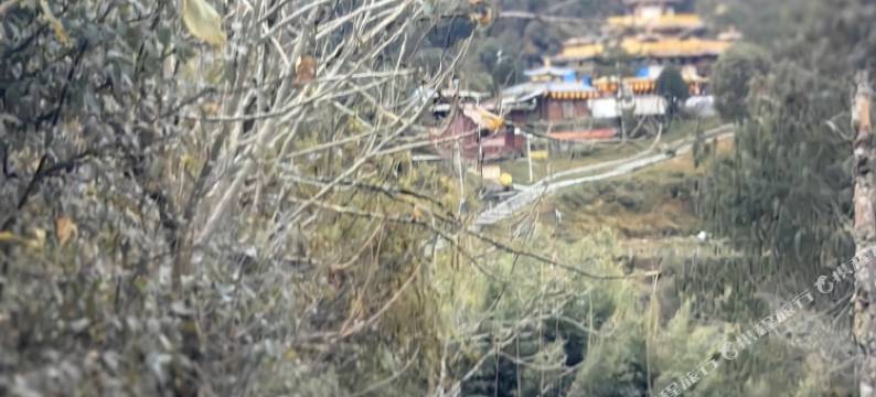 墨脱仁青崩寺圣洁酒店图片