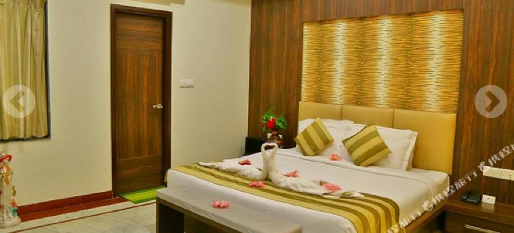 鲁比石头希夫维拉斯宫殿(Rubystone Shiv Vilas Palace)图片