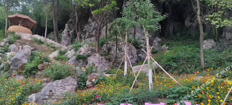 凤凰山庄凤凰栖山谷民宿图片