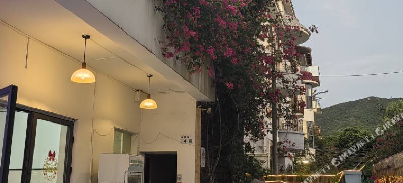 花海星墅(官湖沙滩海边烧烤场店)图片