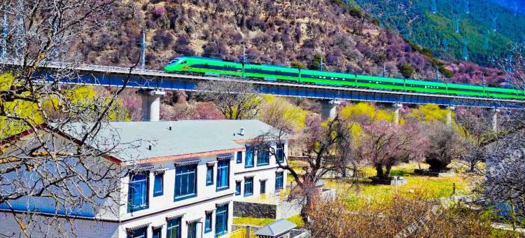 岷山彩门民宿(林芝机场雅鲁藏布江店)图片