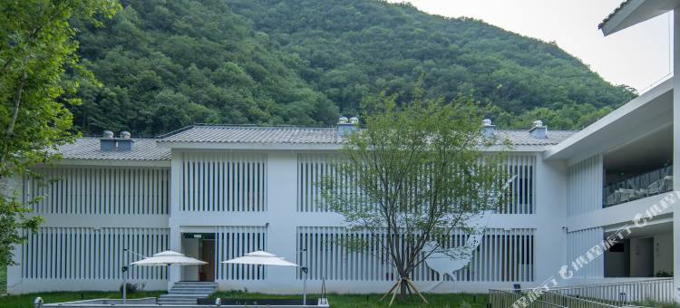 隐居乡里左手香民宿图片