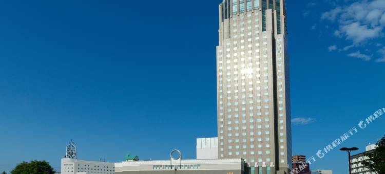 札幌艾米西亚酒店(Hotel Emisia Sapporo)图片