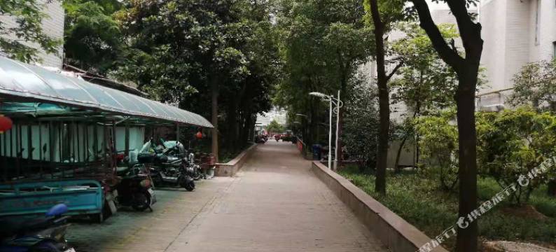 合肥梧桐树青年旅舍(合肥火车站店)图片