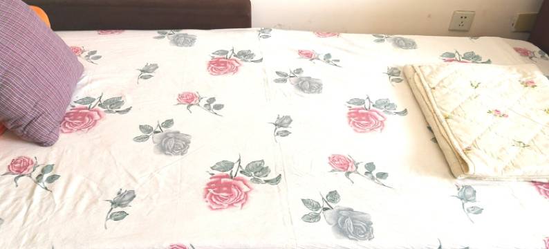 苏姨公寓(太公岛二路1号分店)图片