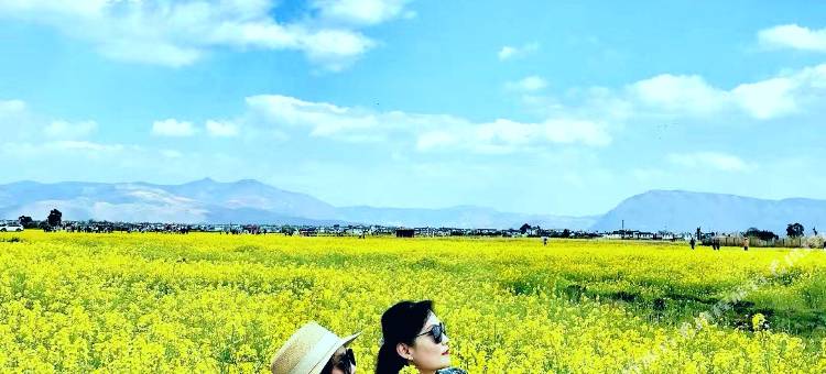 大理古城故乡云客栈(大理古城南门店)图片