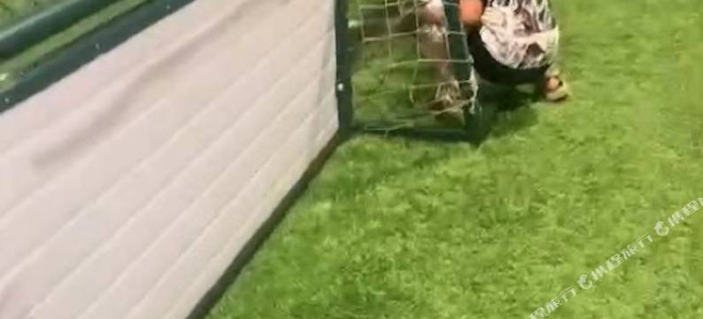 格林豪泰(上海F1赛车场南方泰五金城店)图片