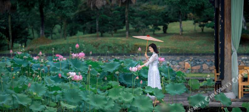 婺源厚塘庄园图片