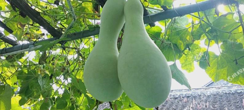 北京郝家大院图片