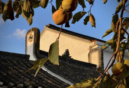 Huawenwu HomestayHotel Overview