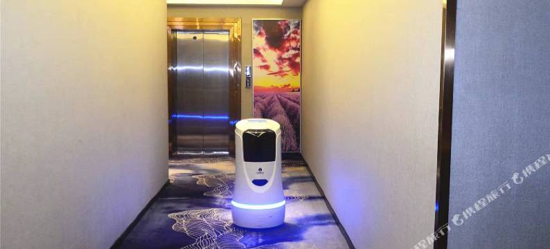 华兹酒店(深圳南山科技园高新北地铁站店)图片