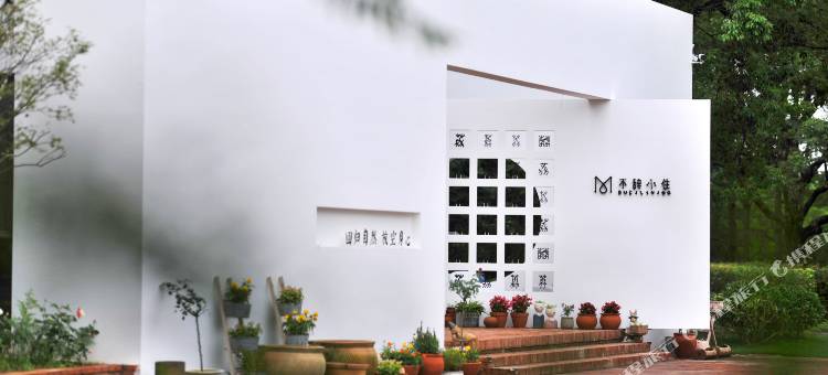 泛蜜月·不辞小住图片