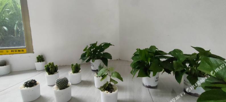 荥经万老四农庄图片