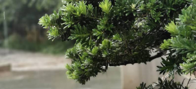 溧阳遇见你民宿图片