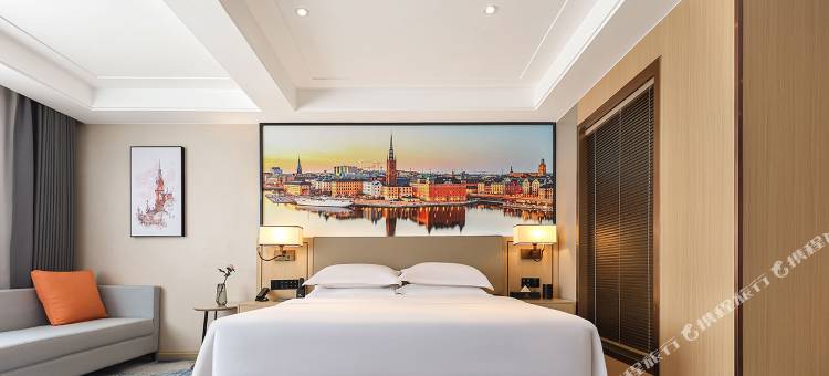 维也纳国际酒店(合肥中环城繁华大道地铁站店)图片