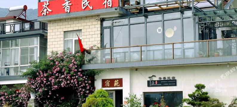 连云港茶香民宿图片