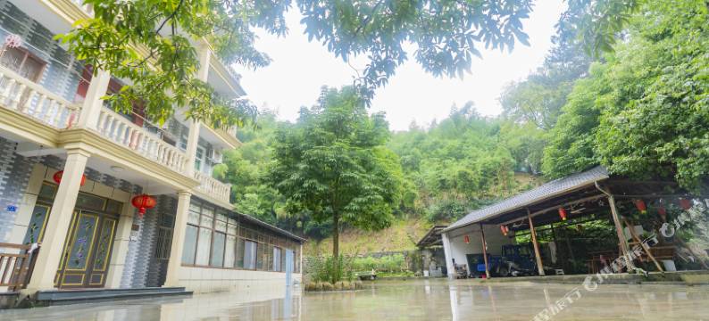 杭州铁树山庄图片