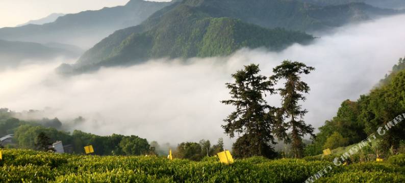 歙县景翠阁山庄图片