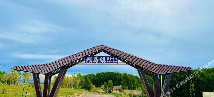 烈马镇·草原太空舱·View旷野营地图片