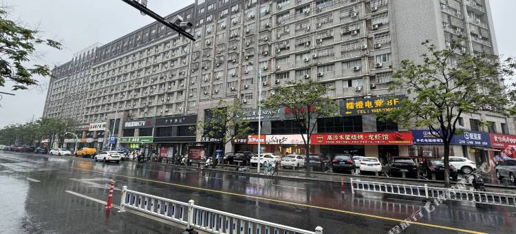 三只猫民宿图片