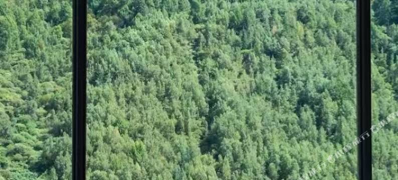 贵山商务智能酒店(四姑娘山双桥沟景区店)图片