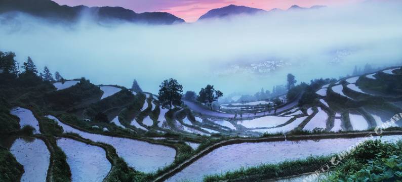 婺源江岭风光客栈图片