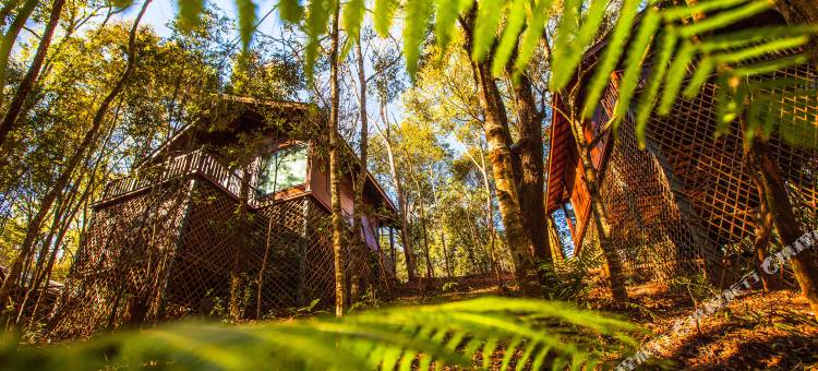 普洱小熊猫庄园图片