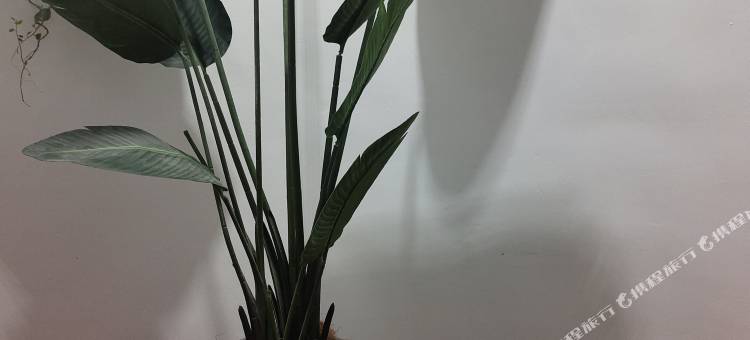 铭雅宾馆(长春吉大二院店)图片