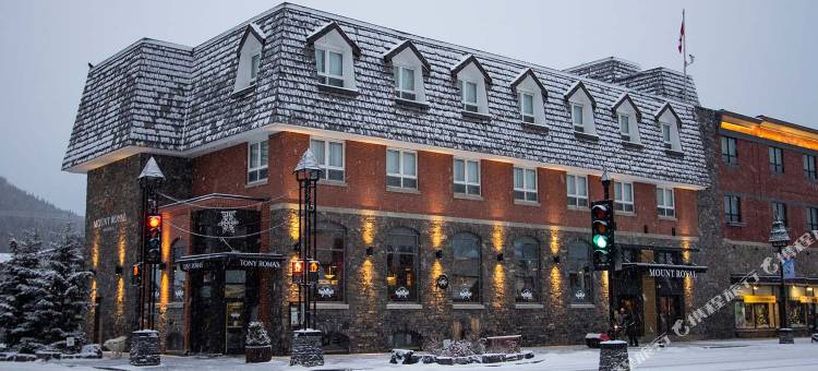 皇家山酒店(Mount Royal Hotel)图片
