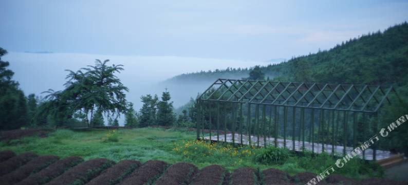 黎平龙形冲TEATEL茶主题民宿图片