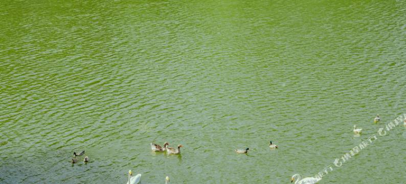 北京在之禾酒店图片