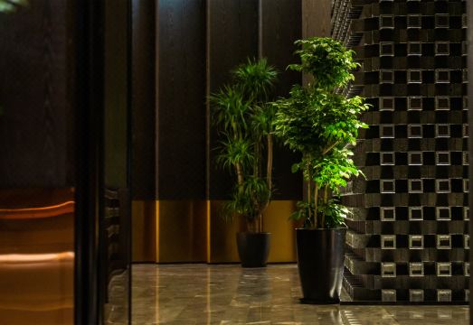 Chengdu Kuanzhai Alley People's Park Subway Station Atour S Hotel Hotel Overview