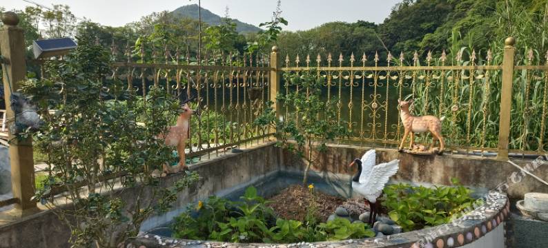 舟山市朱家尖甜蜜人家客栈图片