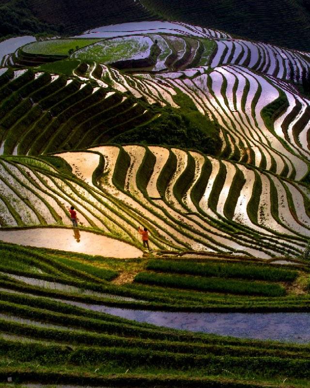 云上·晨曦智慧民宿(龙脊金坑观景台店)图片