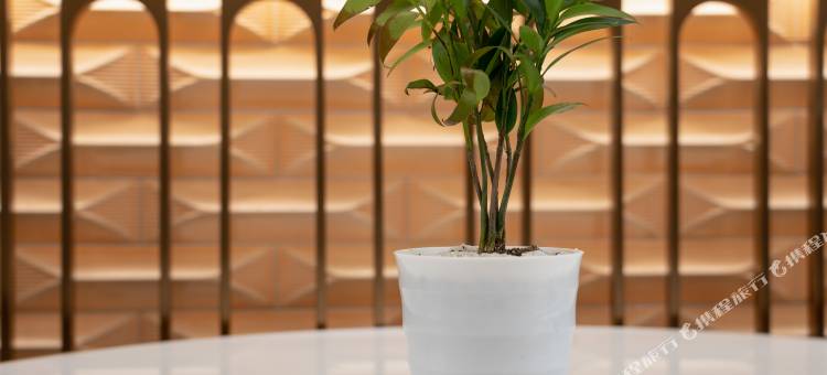 旅途浮光酒店(贵阳机场双龙航空港经济区店)图片