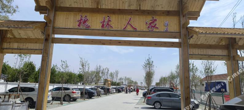 东营孤岛镇槐林人家图片