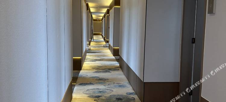 丽珑酒店(启悦店)图片