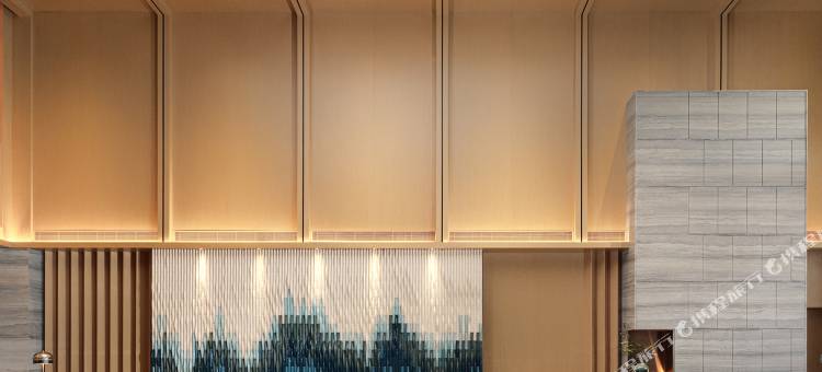 缙云辰舜开元名都酒店图片