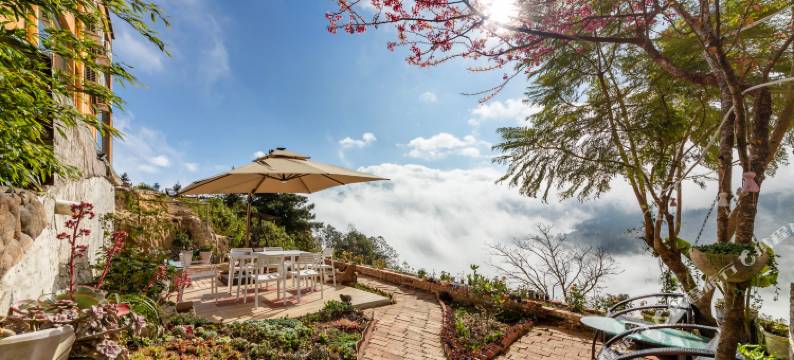 元阳流云阁客栈(多依树景区店)图片