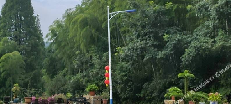 杭州惠芳农家乐图片