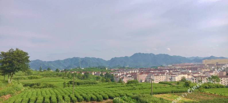 磐安圃舍民宿图片