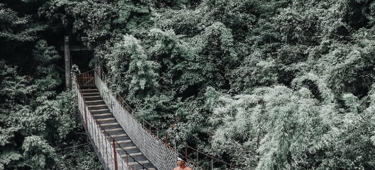 莽山森林温泉酒店图片