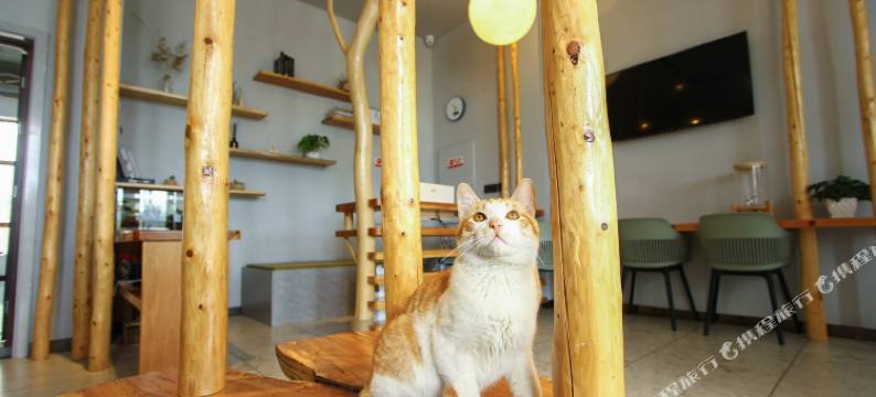 林海山居酒店(长白山北坡集散中心二道白河店)图片