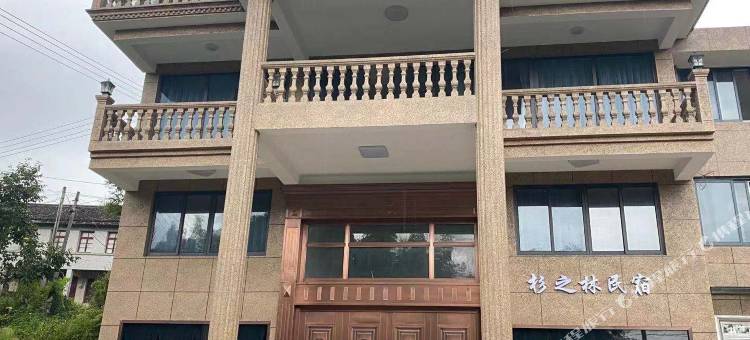 杉之林民宿图片